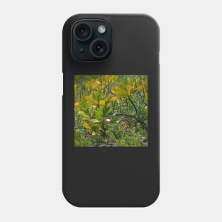 Beach Mangrove 2 Phone Case