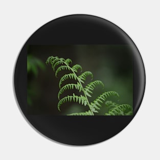 Fern- New Beginning Pin