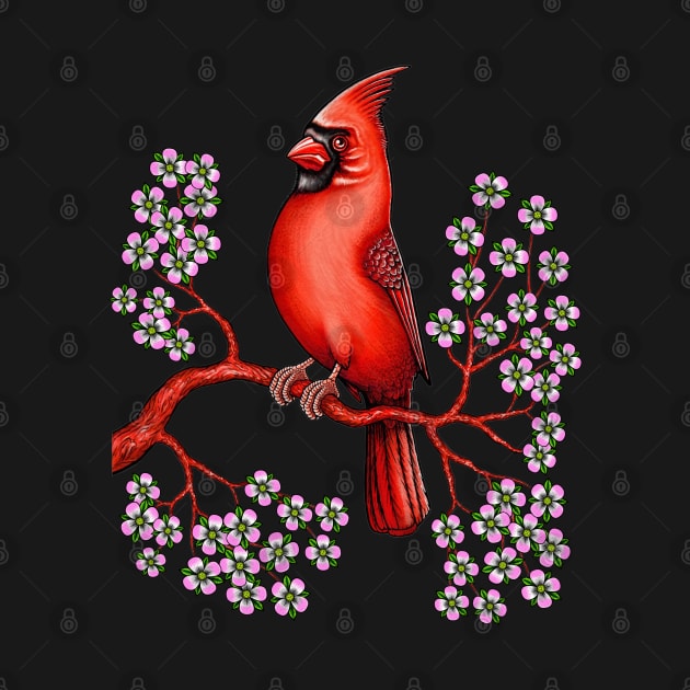 Red Cardinal bird dogwood flower North Carolina Virginia by Artardishop