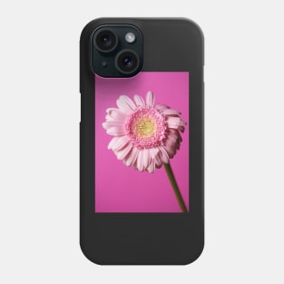 Pink flower on a pink background Phone Case