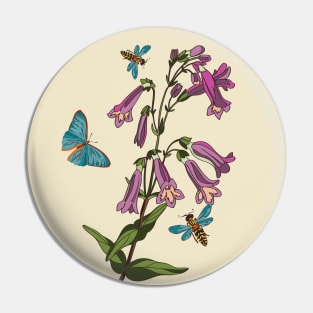 botanical illustration of the bell, butterfly and wasp plants Pin