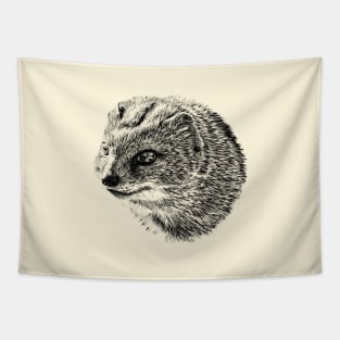 Yellow mongoose Tapestry