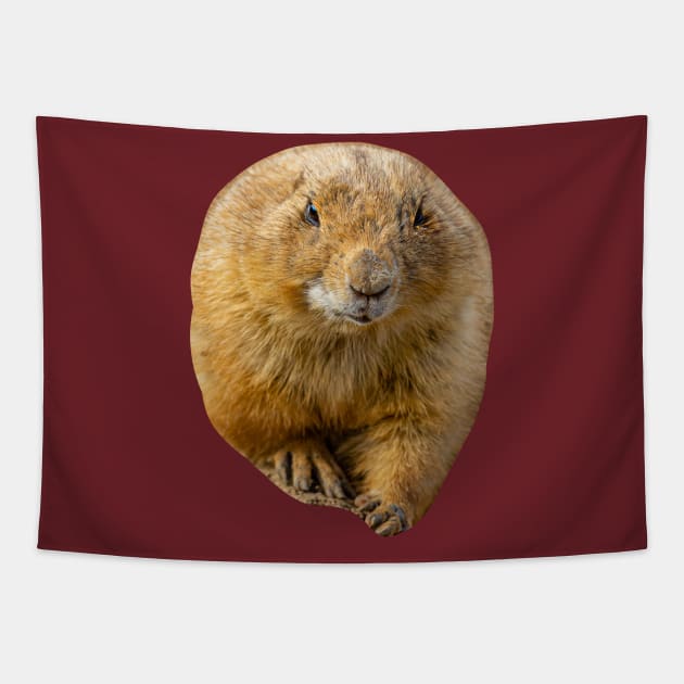 Prairie dog Tapestry by dalyndigaital2@gmail.com