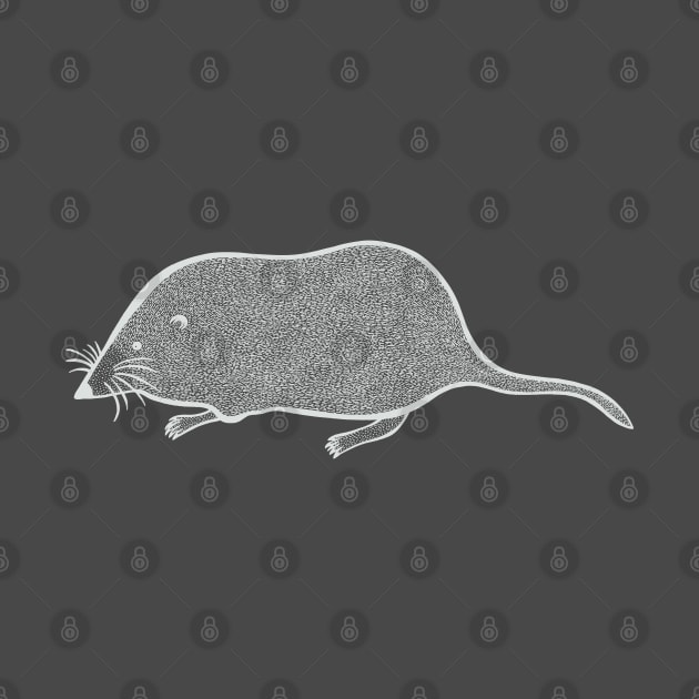 Pygmy Shrew Ink Art - cute animal design - on dark colors by Green Paladin