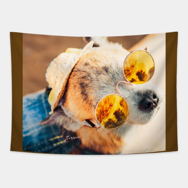 Doggy Denim Tapestry by LibrosBOOKtique