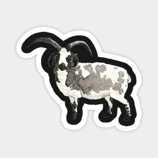 Apocalyptic Dreams of Jacob Sheep Magnet