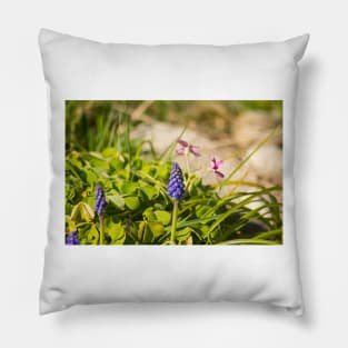 slb muscari Pillow