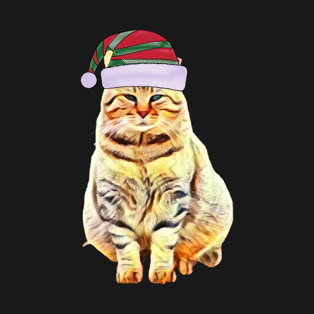 Merry Christmas 2021, Cat with a hat, Christmas gift by BeatyinChaos