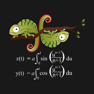 Euler Spiral T-Shirt