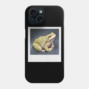 Meditating Frog Cute Photograph Peace & Love Picture Phone Case