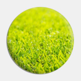 Dew Drops On Green Grass Pin