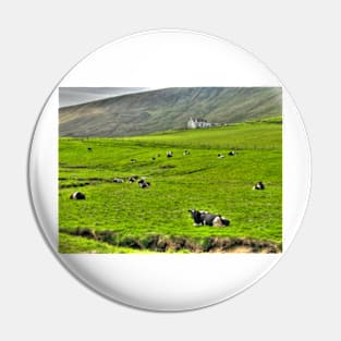 Shetland Scene with cows Pin