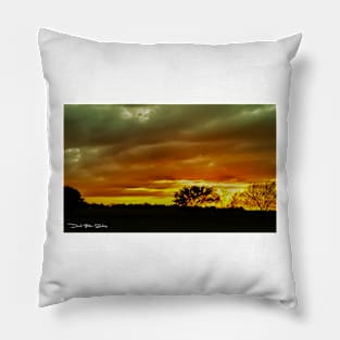 Another Day For The Books Pillow