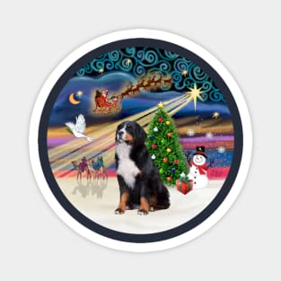 "Christmas Magic" with a Bernese Mountain Dog Magnet