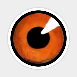 Orange iris of big eye, with black pupil staring. Magnet