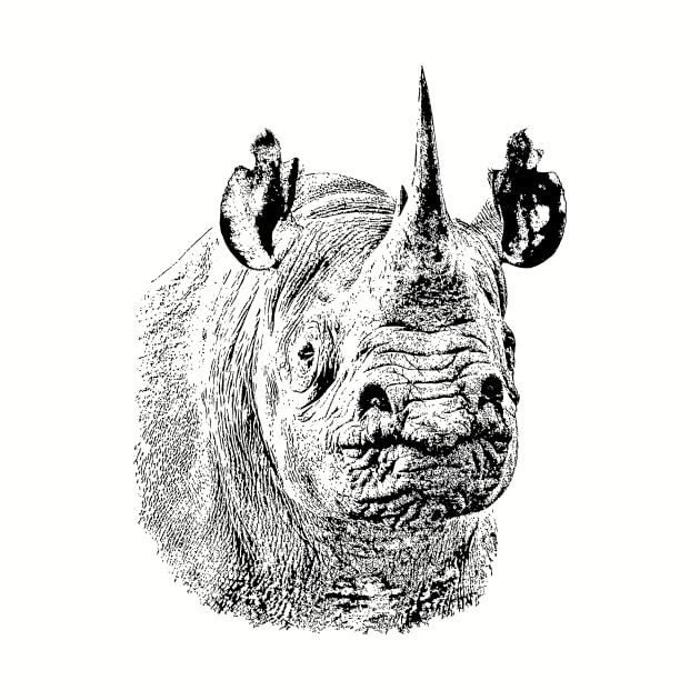 Endangered Black Rhino Portrait | African Wildlife by scotch