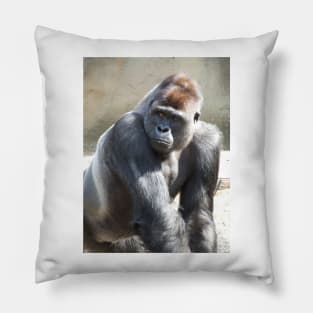 Gorilla Pillow