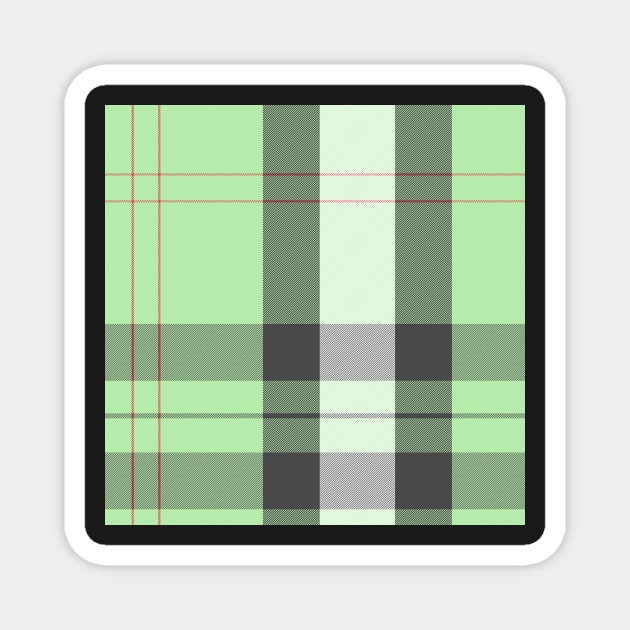green pastel plaid Magnet by osnapitzami