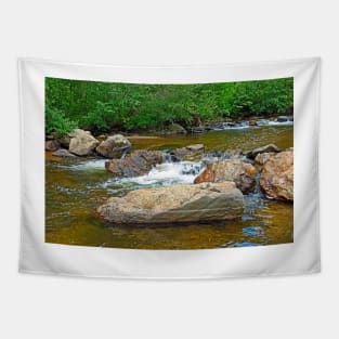 Big Thompson River Falls Tapestry