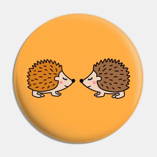 Cute little hedgehogs Pin