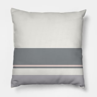 A magnificent layout of Very Light Pink, Philippine Gray, Silver and Light Grey stripes. Pillow