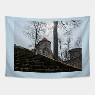 Ruins and stairs of medieval castle in Cesis, Latvia Tapestry