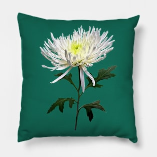 Chrysanthemums - White Spider Mum Pillow