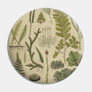 Ferns and Mosses Pin