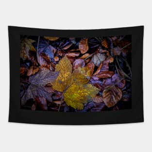 Autumn Leaves Tapestry