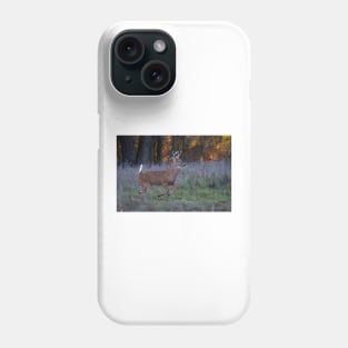 Scent of a Doe - White-tailed deer Phone Case