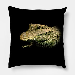 Crocodile Pillow