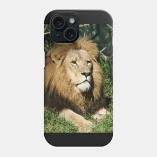 King Of The Jungle Phone Case