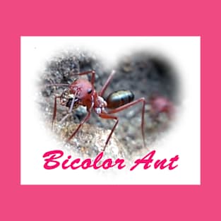 Bicolor Ant T-Shirt