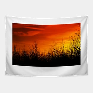 December Sunset Tapestry