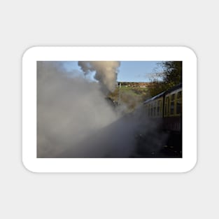 Steam Steam Steam Magnet