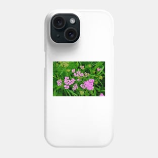 Glen Haven Wildflower Study 2 Phone Case