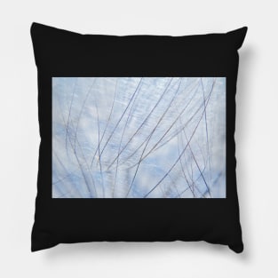 Fragility & Strength Pillow