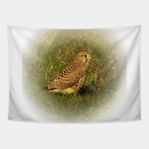 Kestrel Tapestry by Guardi