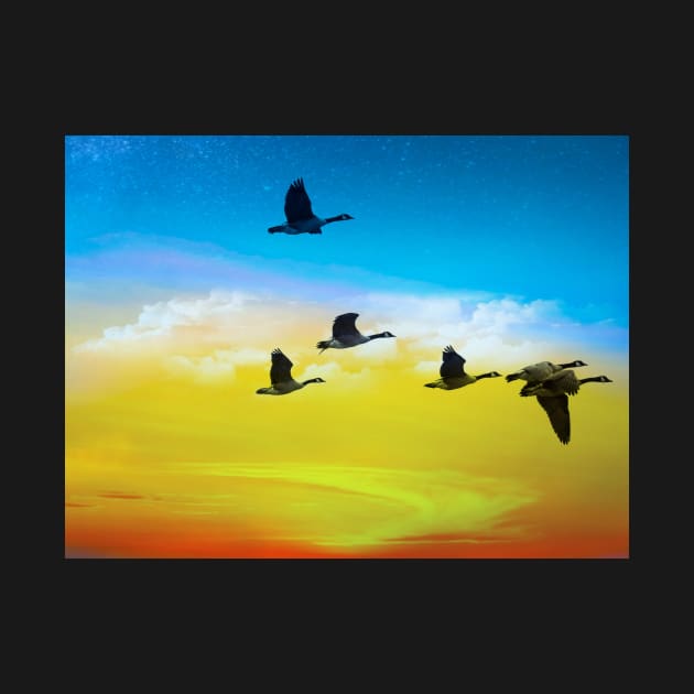 Birds Flying In The Colorful Sky T-shirt by KathyG'sArt