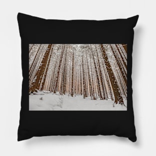 Sunrise in winter forest Pillow