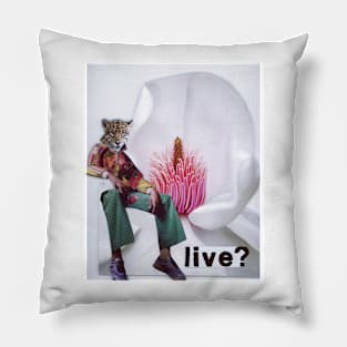 Live? Pillow