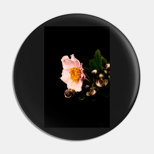 Low key pink flower Pin by vanjarosenthal