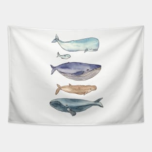 whales family Tapestry