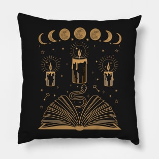 Dark Academia Aesthetic Book Witchy Psychedelic Pillow