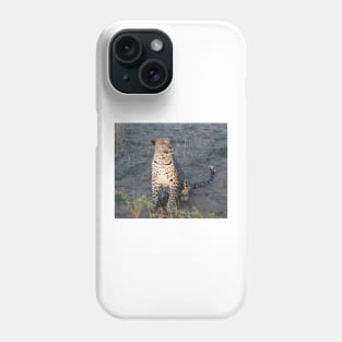 Watchful leopard cub Phone Case