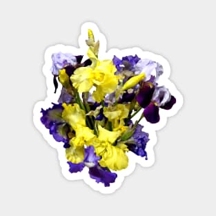 Assortment of Irises Yellow and Purple Magnet