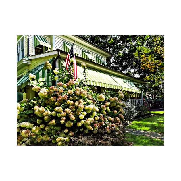 Belvidere NJ - White Hydrangeas and Green Striped Awning by SusanSavad