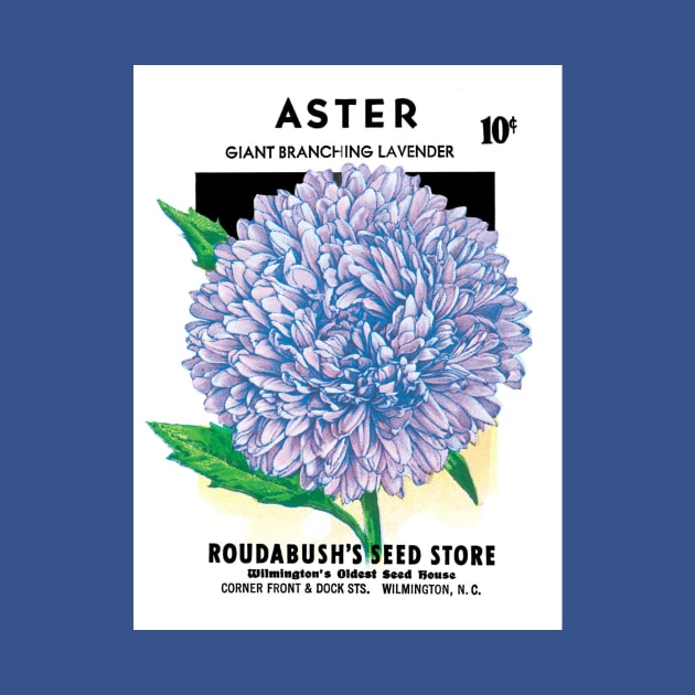 Vintage Aster Roudabush Seed Packet by MasterpieceCafe