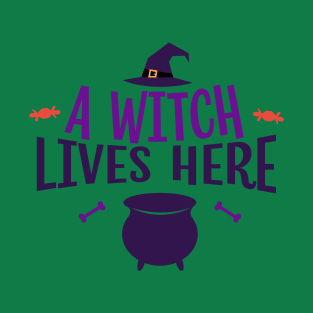 Funny  Gift for Halloween T-Shirt