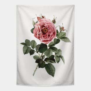 Red English Rose Tapestry